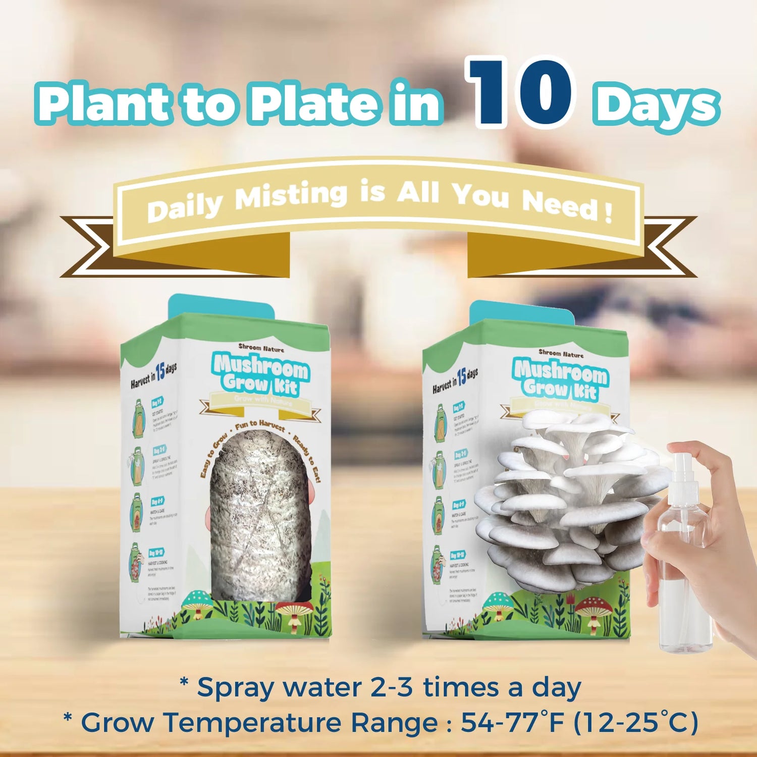 An easy-to-use mushroom grow kit that goes from box to a full harvest in 10 days, showing that only daily spraying is needed.