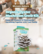 An organic oyster mushroom grow kit from Shroom Nature showing a fresh harvest, perfect for a family gardening project.